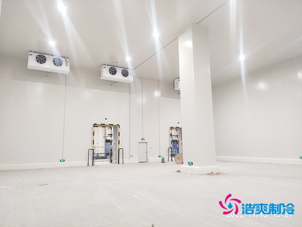 二氧化碳物流冷庫(kù)建造施工完成內(nèi)景