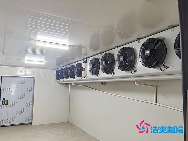 冷凍庫建設(shè)每平方米的造價是多少？