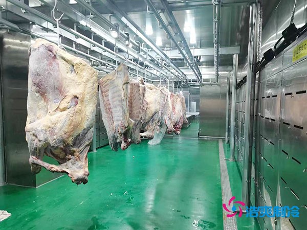建造一個肉類排酸冷庫安裝造價成本大概多少錢？