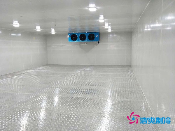 建造100平米-60℃存儲金槍魚的超低溫冷庫造價多少錢？