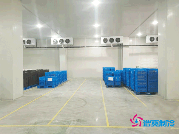 建設(shè)一個(gè)海鮮低溫冷庫造價(jià)多少錢一平方？