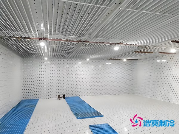 建設(shè)一個(gè)海鮮低溫冷庫造價(jià)多少錢一平方？