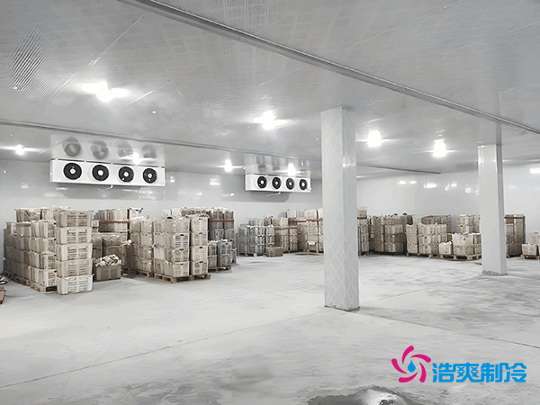 5000噸大型冷庫造價(jià)