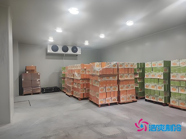 1000噸果蔬保鮮庫造價揭秘，節(jié)省成本就靠這幾點！