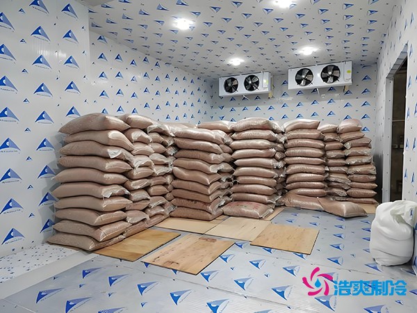 2萬(wàn)起建種子冷庫(kù)？這些因素讓造價(jià)翻倍！
