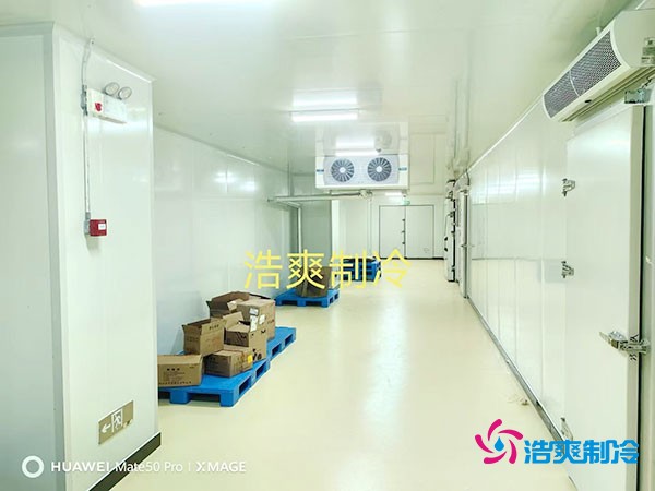 建造一個小型紅酒冷庫的大致造價費用多少錢？