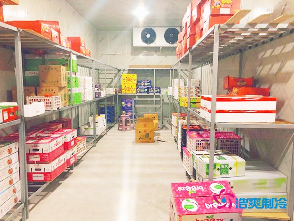 5噸水果需要多大冷庫？答案出乎意料！