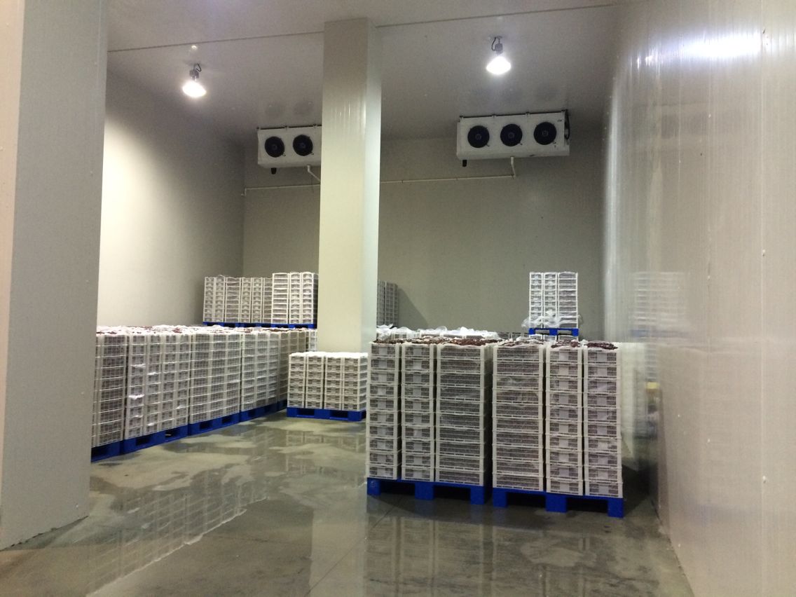 2000噸水果冷庫，冷庫安裝費用多少
