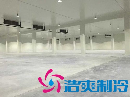 大型果蔬農(nóng)產(chǎn)品物流冷庫,冷藏庫建造及運營成本預(yù)算
