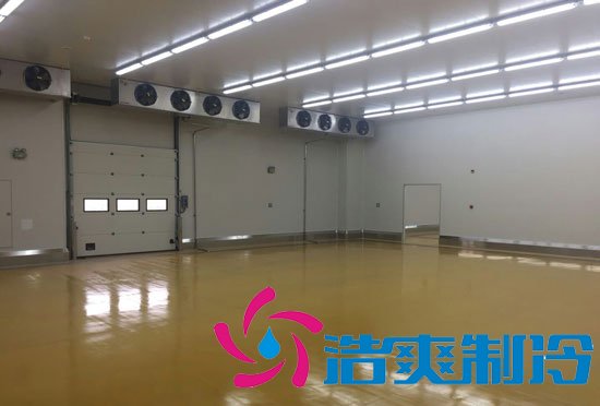 港口冷鏈冷庫市場趨勢和現(xiàn)狀，萬噸港口冷鏈低溫倉儲造價預算