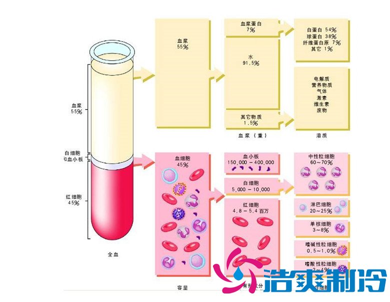 -30℃～-80℃血漿蛋白低溫冷凍庫(kù)規(guī)范，冷庫(kù)安裝價(jià)格